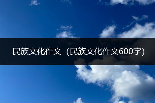 民族文化作文（民族文化作文600字）