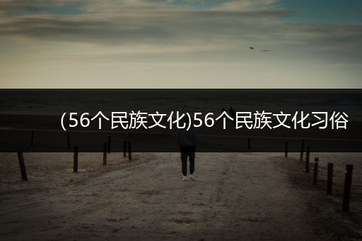 （56个民族文化)56个民族文化习俗