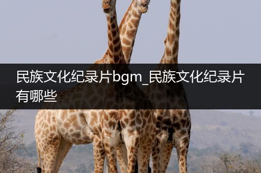 民族文化纪录片bgm_民族文化纪录片有哪些