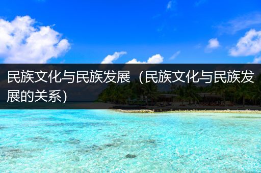 民族文化与民族发展（民族文化与民族发展的关系）