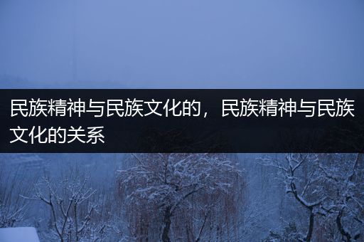 民族精神与民族文化的，民族精神与民族文化的关系