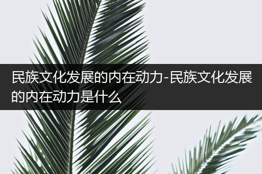 民族文化发展的内在动力-民族文化发展的内在动力是什么