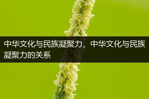 中华文化与民族凝聚力，中华文化与民族凝聚力的关系