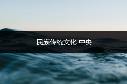 民族传统文化 中央