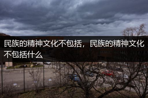 民族的精神文化不包括，民族的精神文化不包括什么